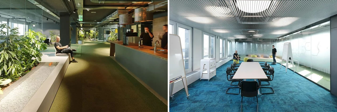 �칫����װ�����