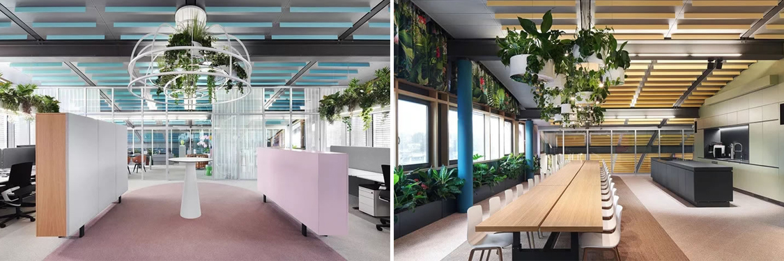 �칫����װ�����