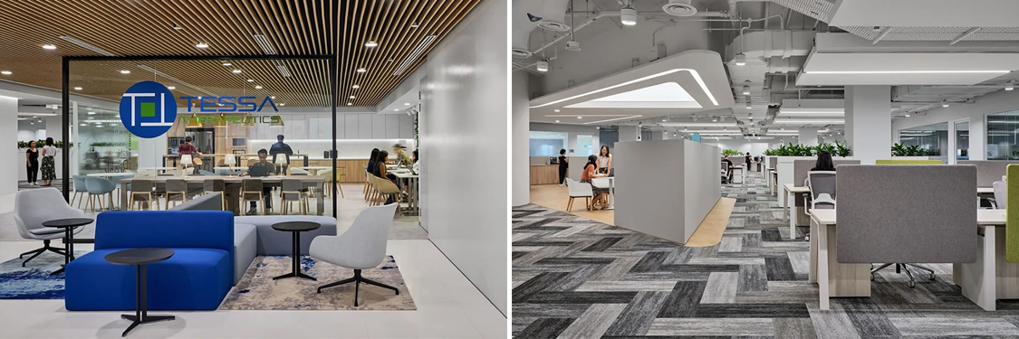 ����2121�Ƿ�װ����ƹ�˾ͼ��