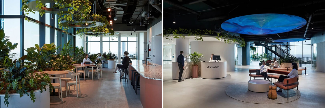 ����2121�Ƿ�װ����ƹ�˾ͼ��