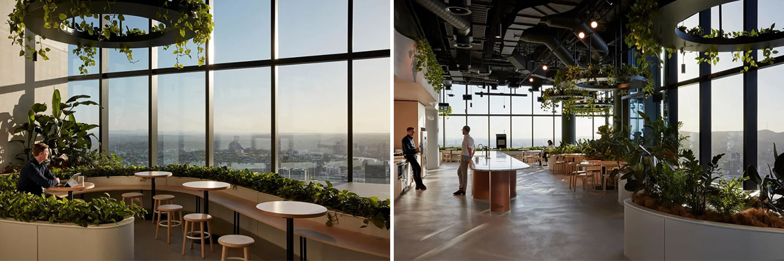 ����2121�Ƿ�װ����ƹ�˾ͼ��