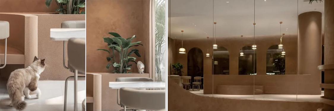 ����2121�Ƿ�װ����ƹ�˾ͼ��