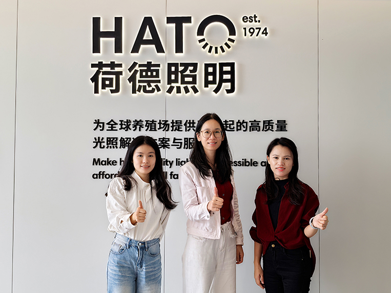 ����װ����ƹ�˾