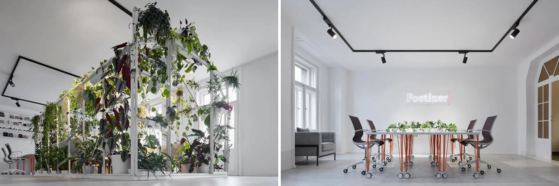 ����2121�Ƿ�װ����ƹ�˾ͼ��